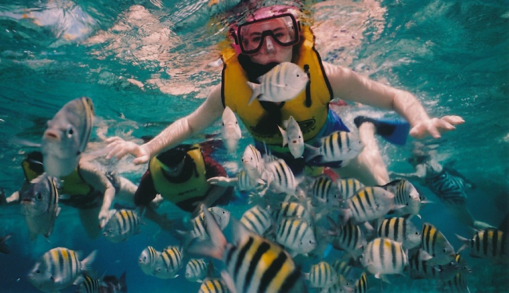 צלילה בקוזומל